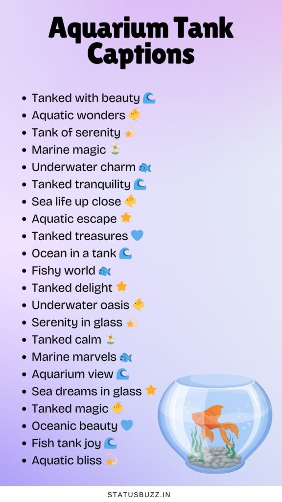 aquarium tank captions