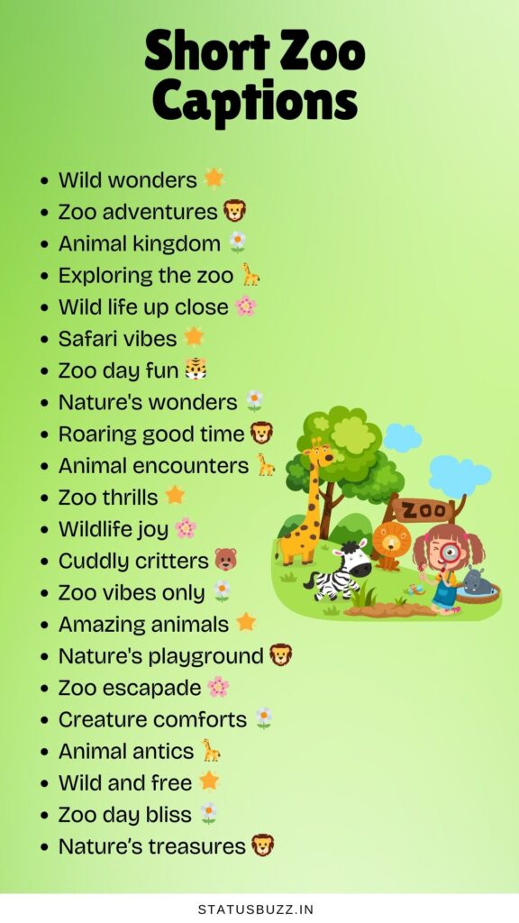zoo captions