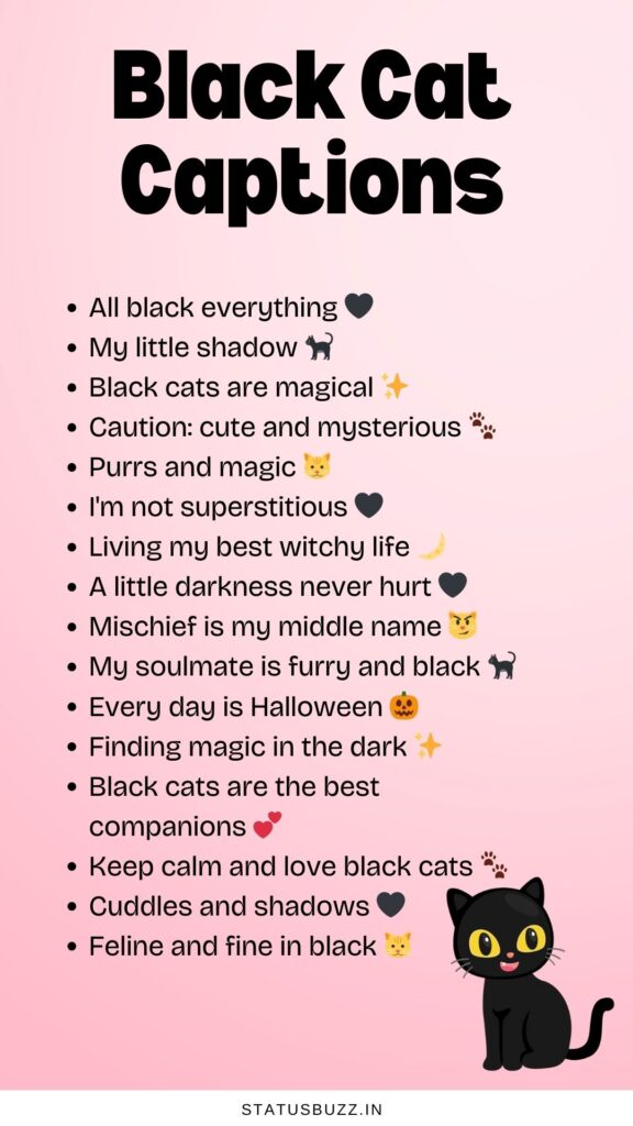 black cat captions