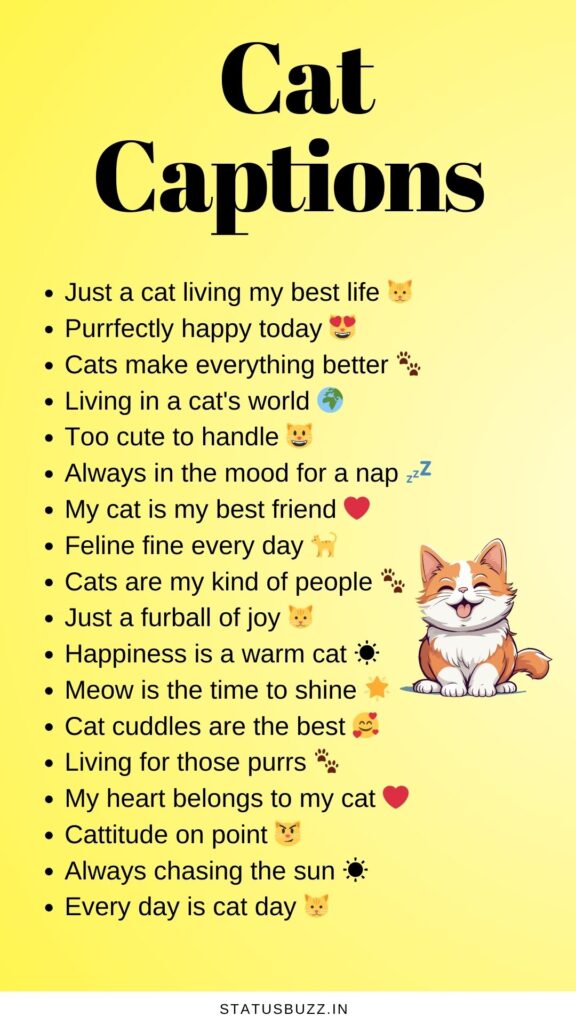 cat captions