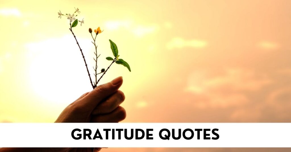 Gratitude Quotes