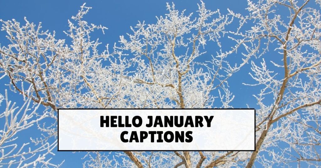 January Captions