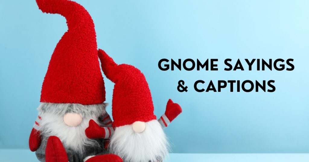 Gnome Captions