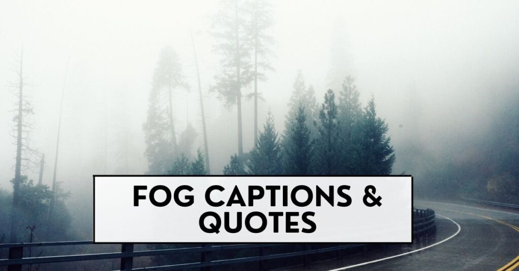 Fog Captions