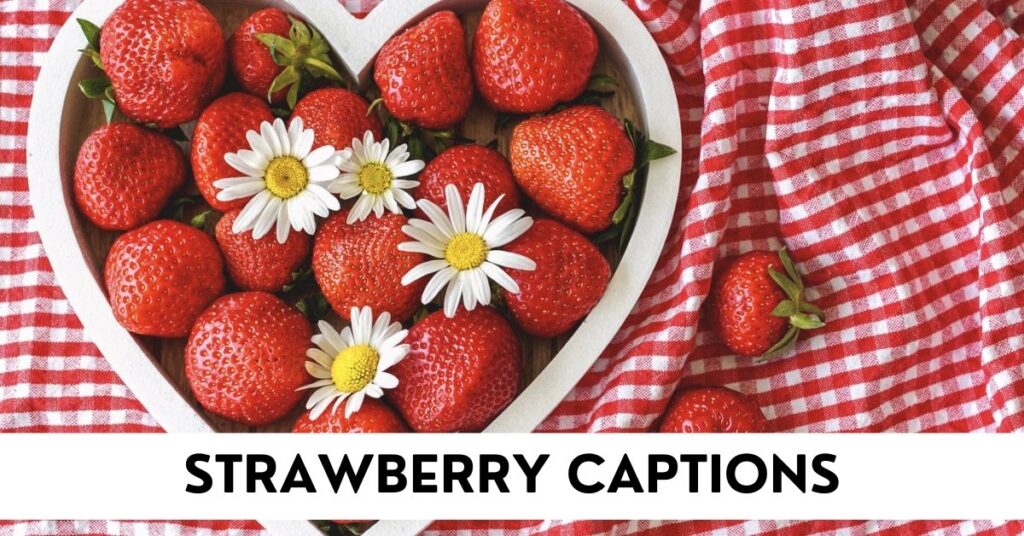 Strawberry Captions