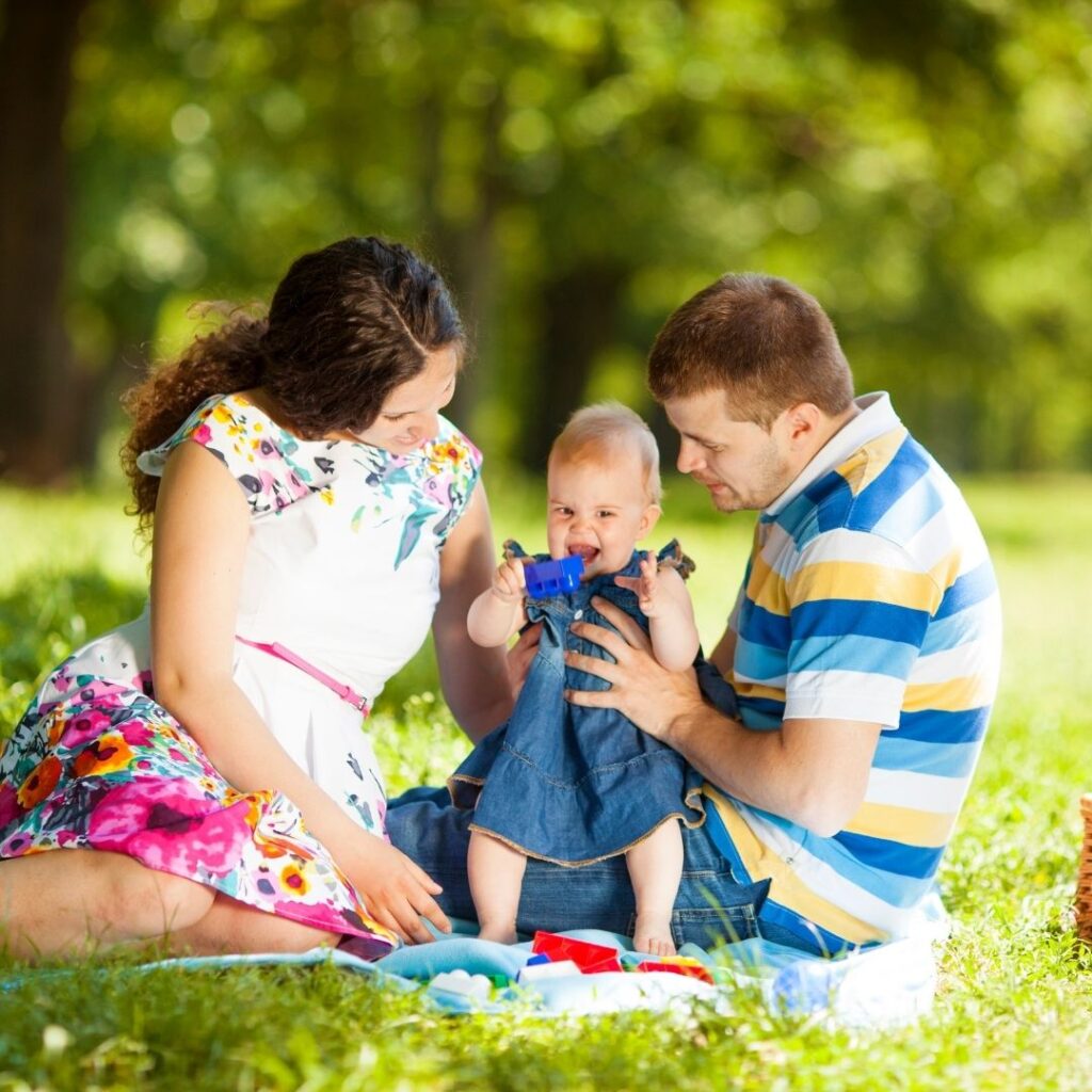 Plan a Family Picnic