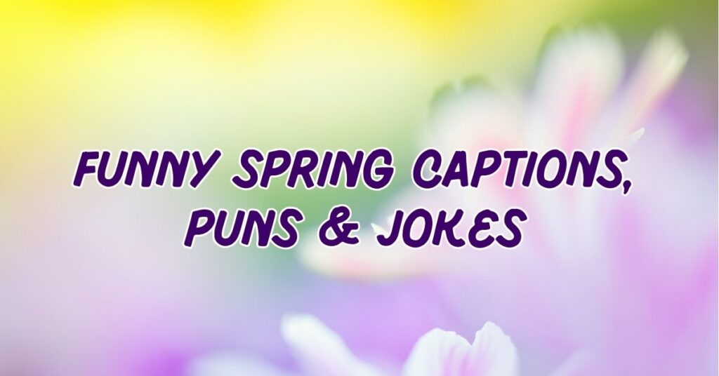 Funny Spring Captions