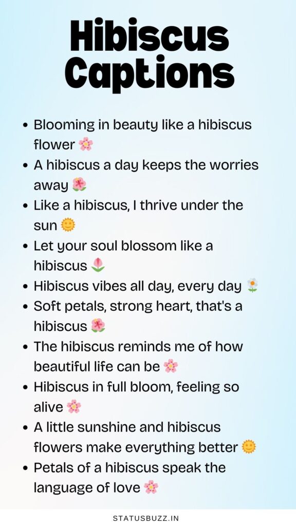 hibiscus captions