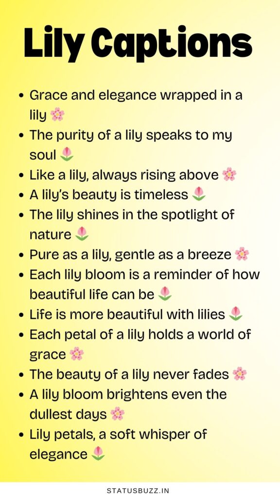 lily captions