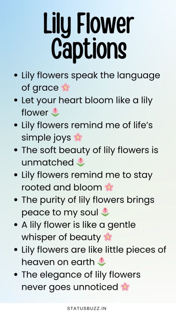 lily flower captions