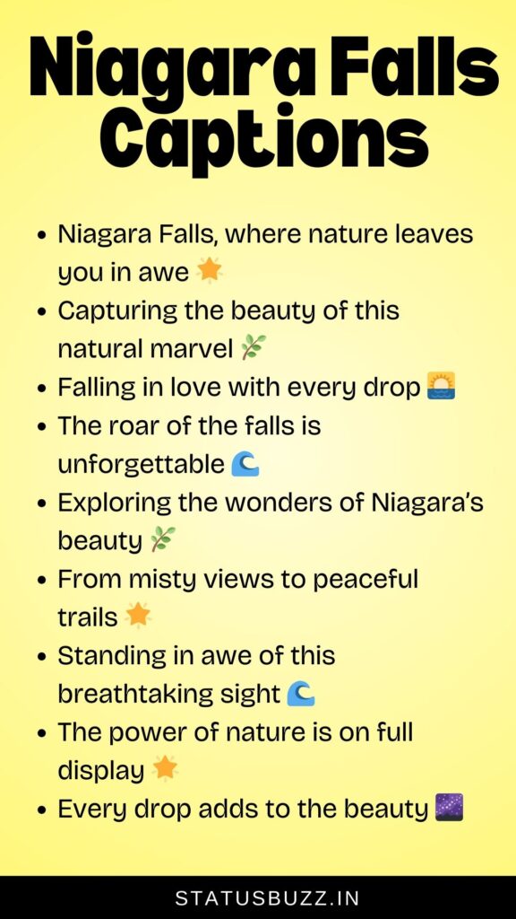 niagara falls captions