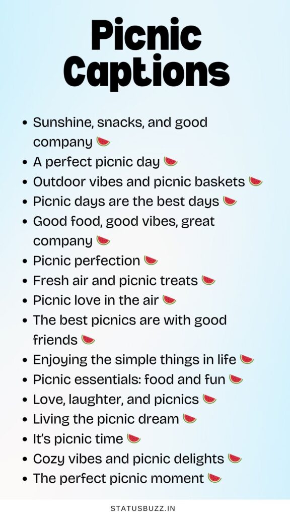 picnic captions