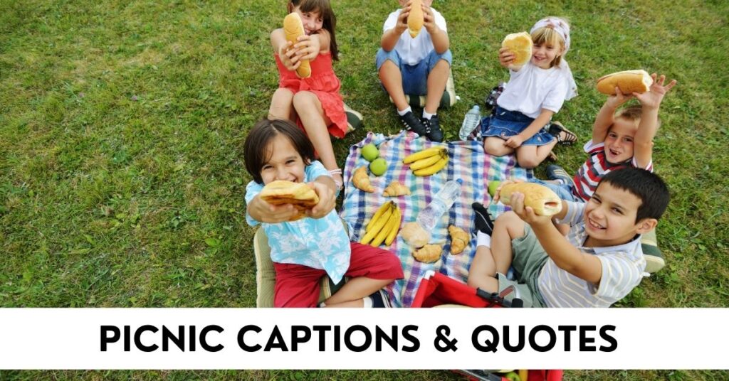 Picnic Captions