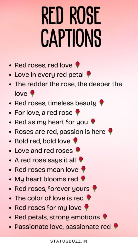 red rose captions