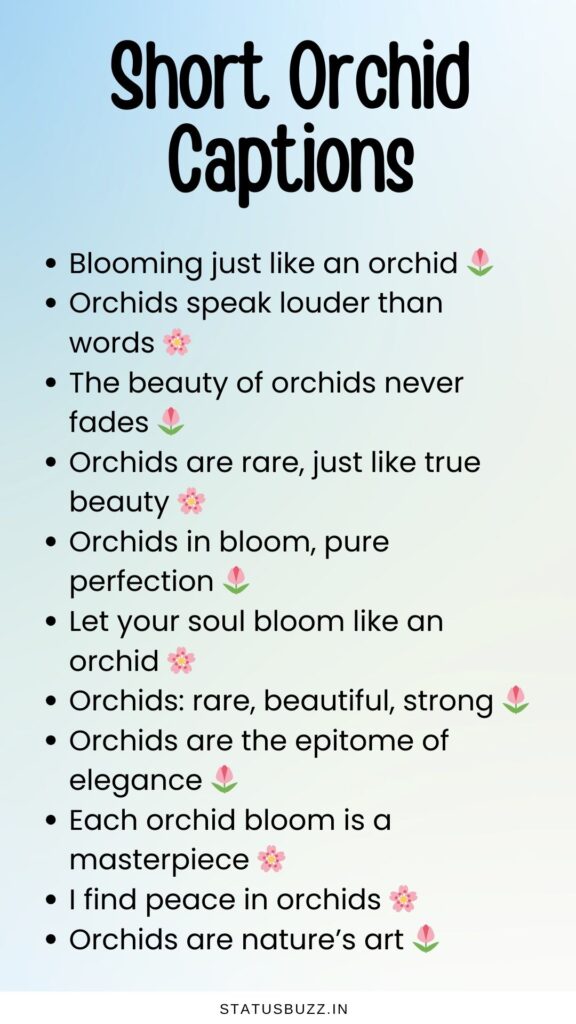 short orchid captions