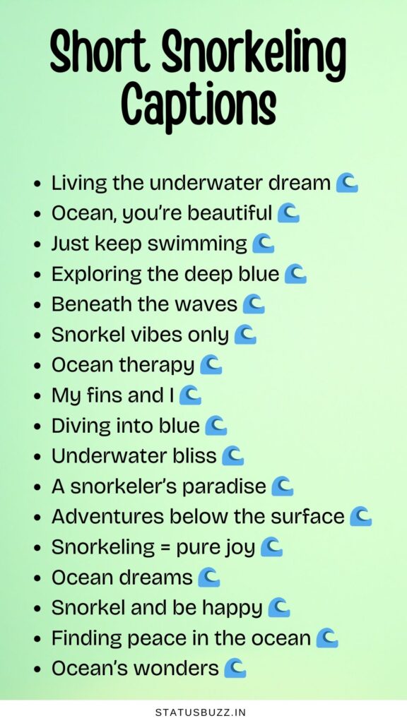 short snorkeling captions