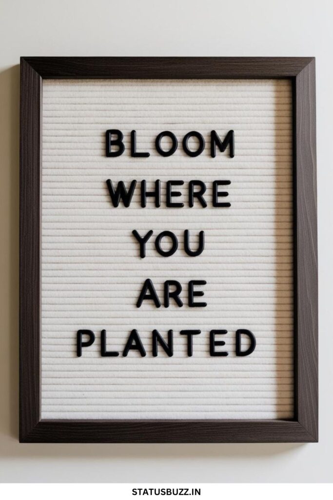 spring letterboard quotes