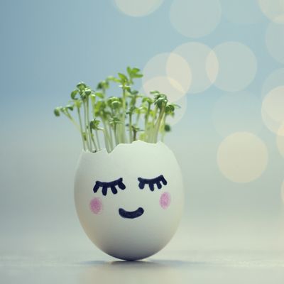 Eggshell Planters