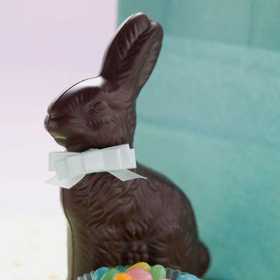 Fake Chocolate Easter Bunny