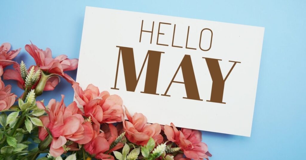 may captions and quotes