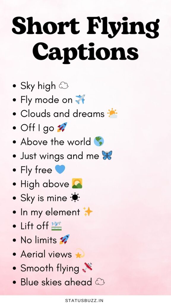 short flying captions