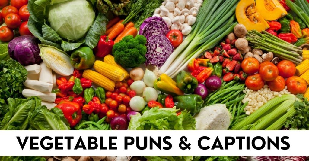 Vegetable Puns