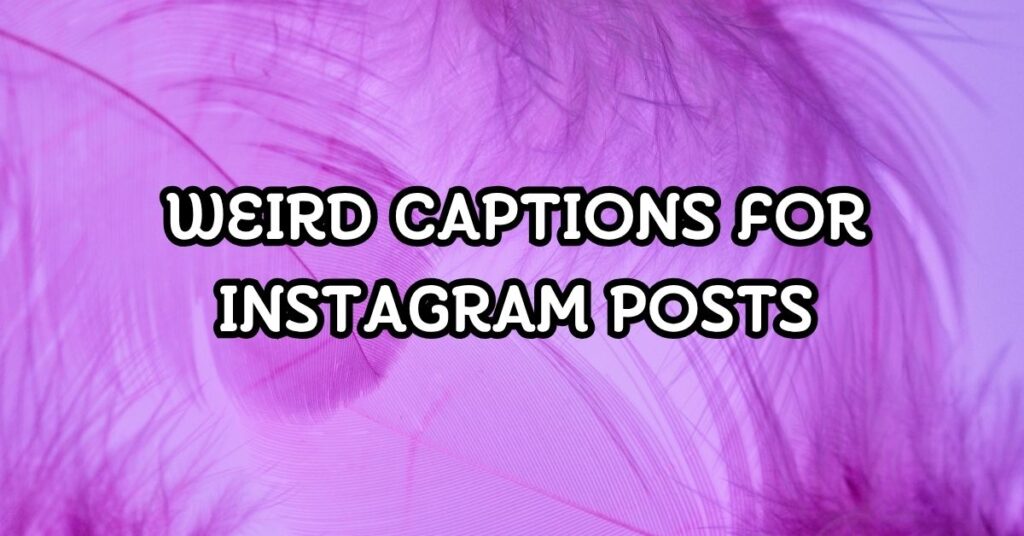 Weird Captions For Instagram