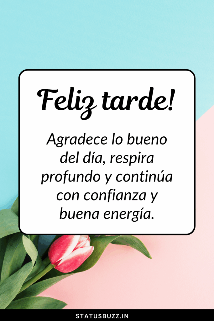 Feliz tarde frases positivas
