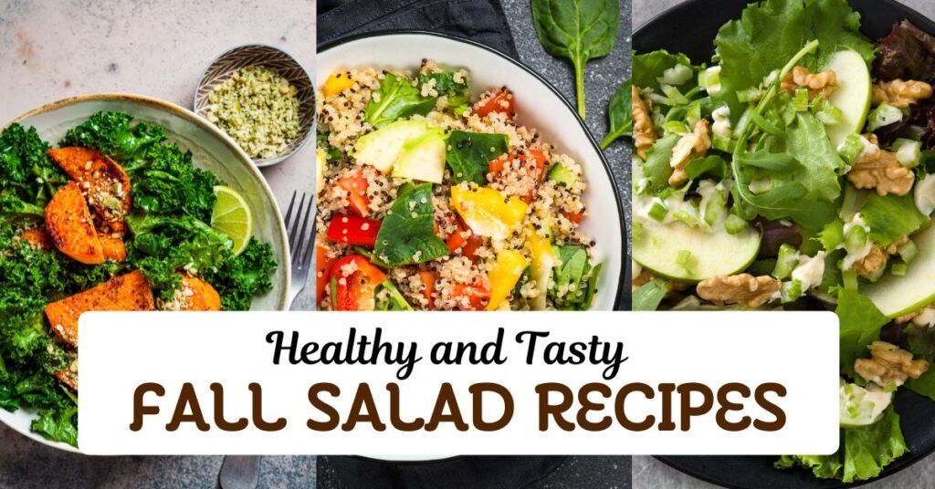 Healthy and Tasty Fall Salad Recipes