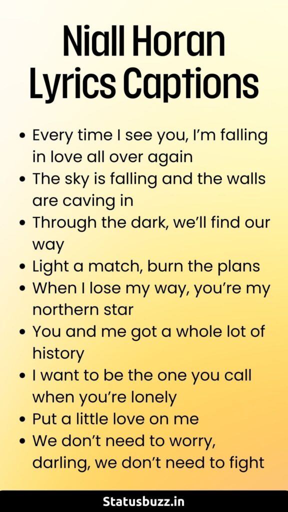 Niall Horan Lyrics Captions