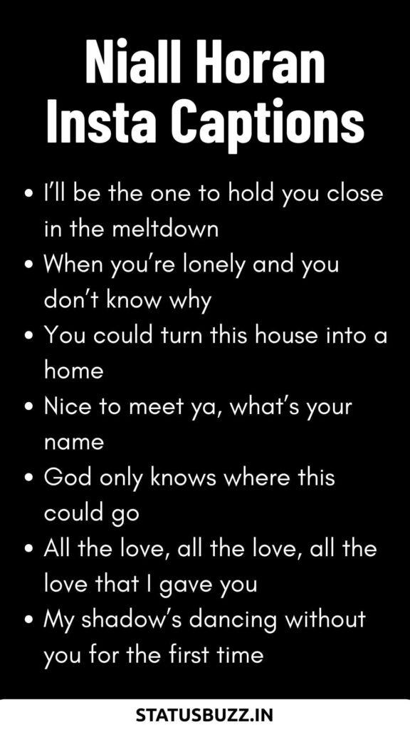 Niall Horan Lyrics Captions