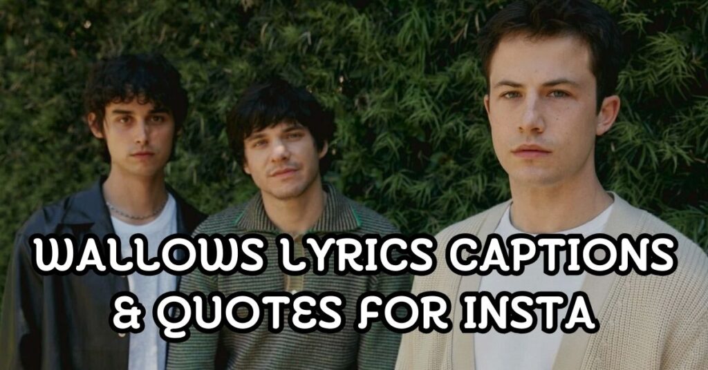 Wallows Lyrics Captions & Quotes