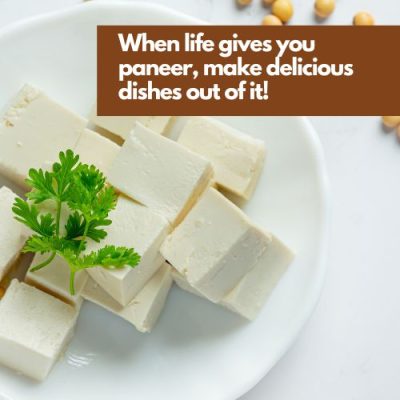 paneer captions for instagram