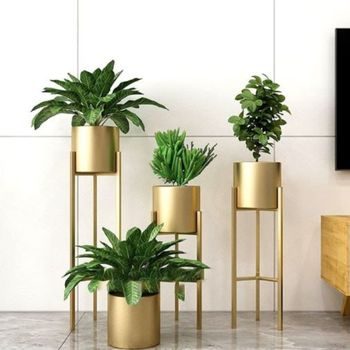 planters