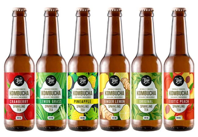 toyo kombucha